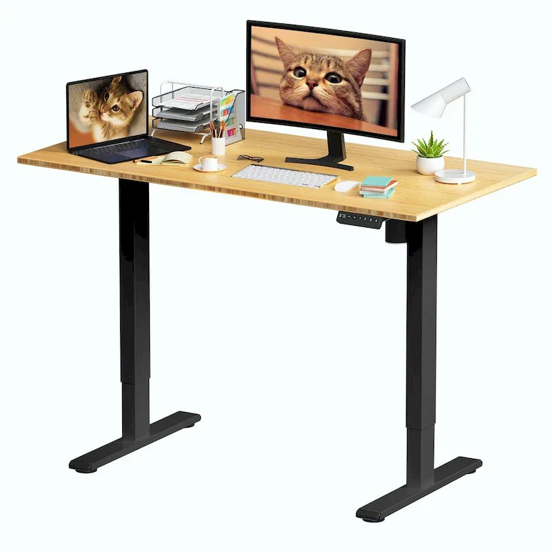 Bamboo Electric Height Adjustable Standing Desk - Single User