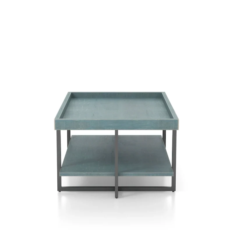 Damara Transitional 47-inch Metal 1-Shelf Coffee Table by Furniture of America