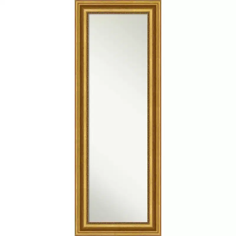 20" x 54" Non-Beveled Parlor Gold Full Length on The Door Mirror - Amanti Art: Includes Hooks, Polystyrene Frame, No Assembly Required