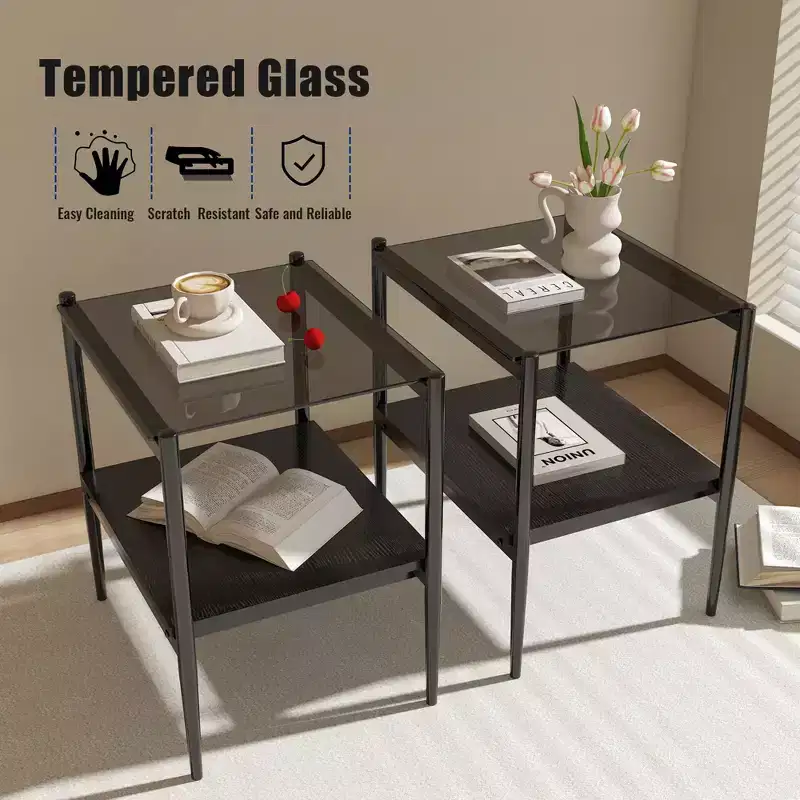 MAYEERTY Set of 2 Rectangle End Table with Tempered Glass Tabletop, for Living Room, Gray Glass