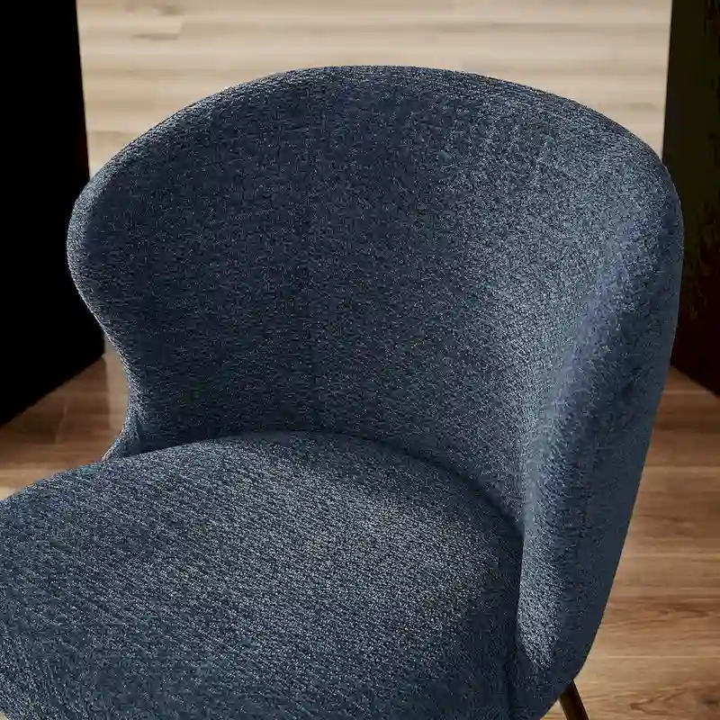 Modern Dining Chairs, Set of 2