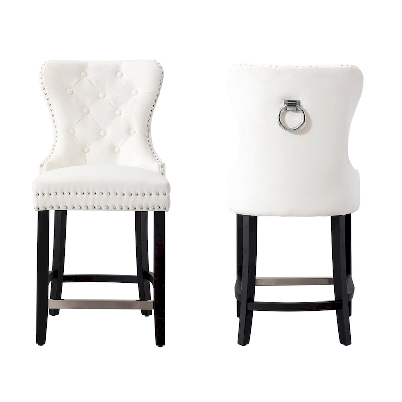 Carter 24  Wingback Tufted Nailhead Counter Stool (Set of 2)