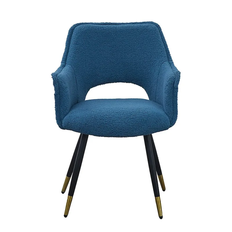 Blue Modern 23.2 Accent Chair (Set of 2)