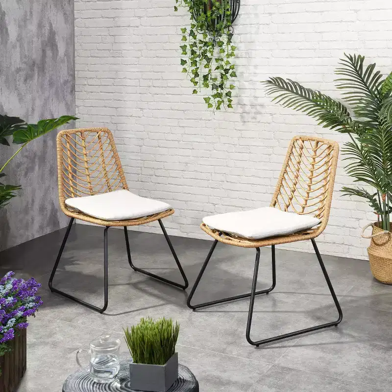 Berrien 2pk Outdoor Wicker Chairs with Cushion - Light Brown/Beige/Black - Christopher Knight Home