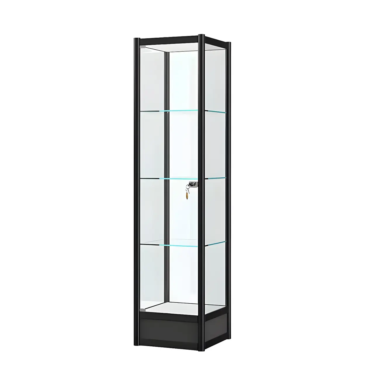 Rectangular Black Clear Glass Metal Frame Curio Cabinet
