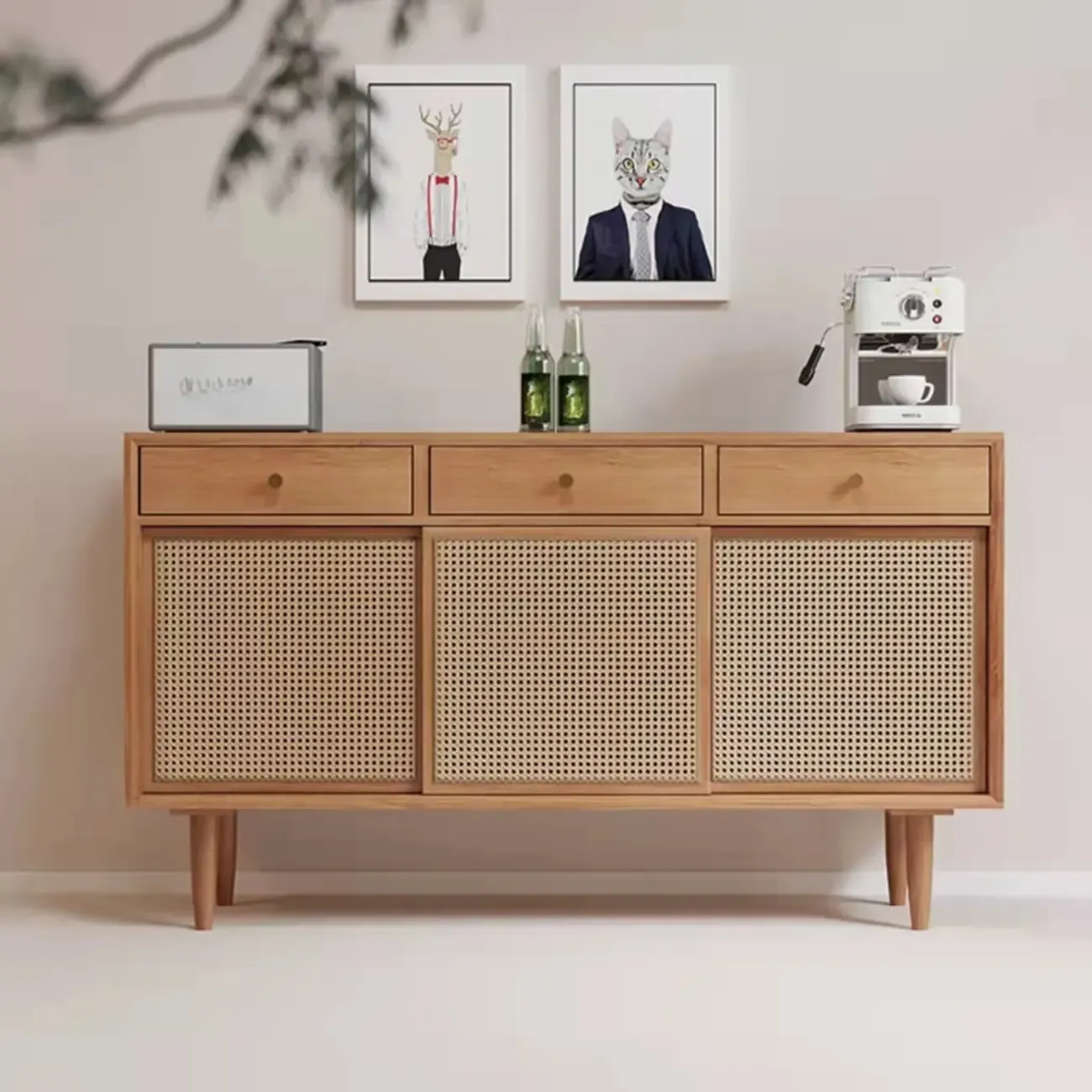 Nordic Freestanding Rattan Cabinet with Sliding Door