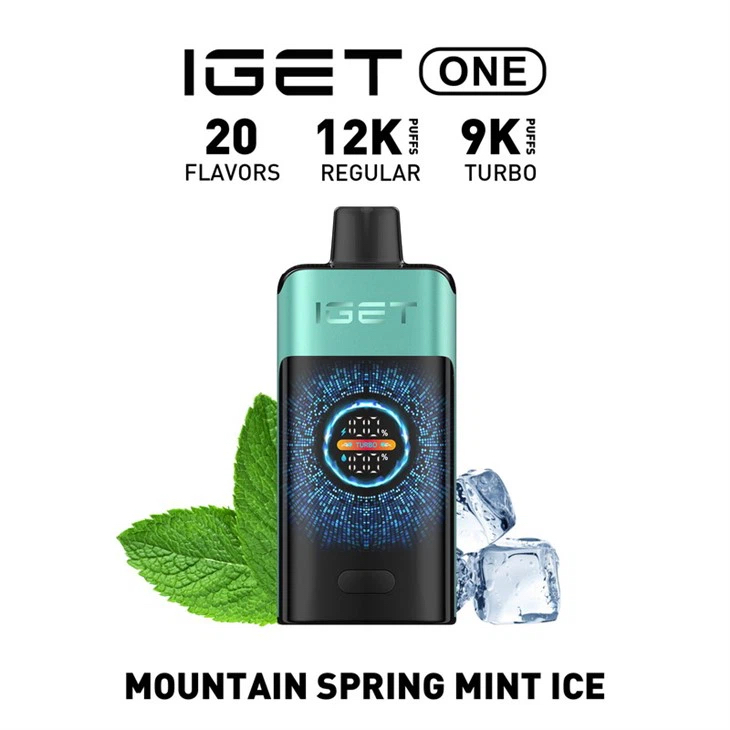 New IGET ONE 12000 Puffs 15 Flavors