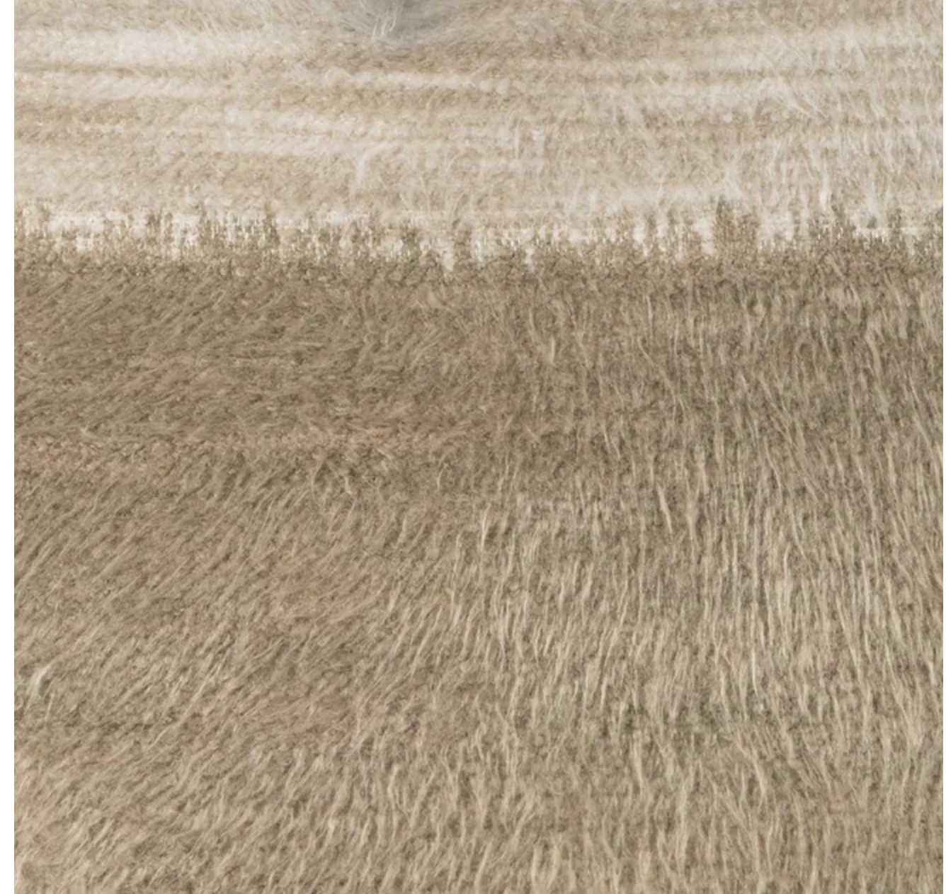 5678 -OLMED0/BISCOTTI