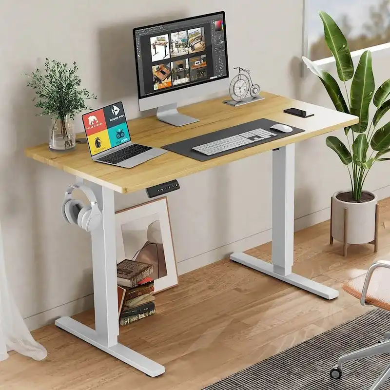 Height Adjustable Electric Standing Ergonomic Computer Desk