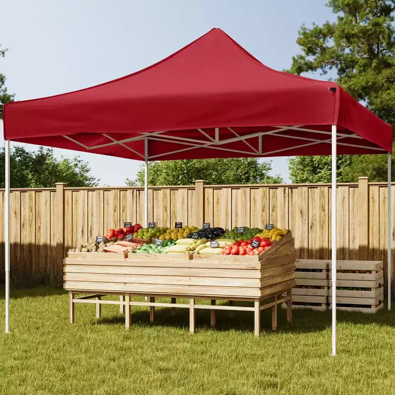 Leisure Sports Pop-Up Canopy Tent - 10' x 10', Red