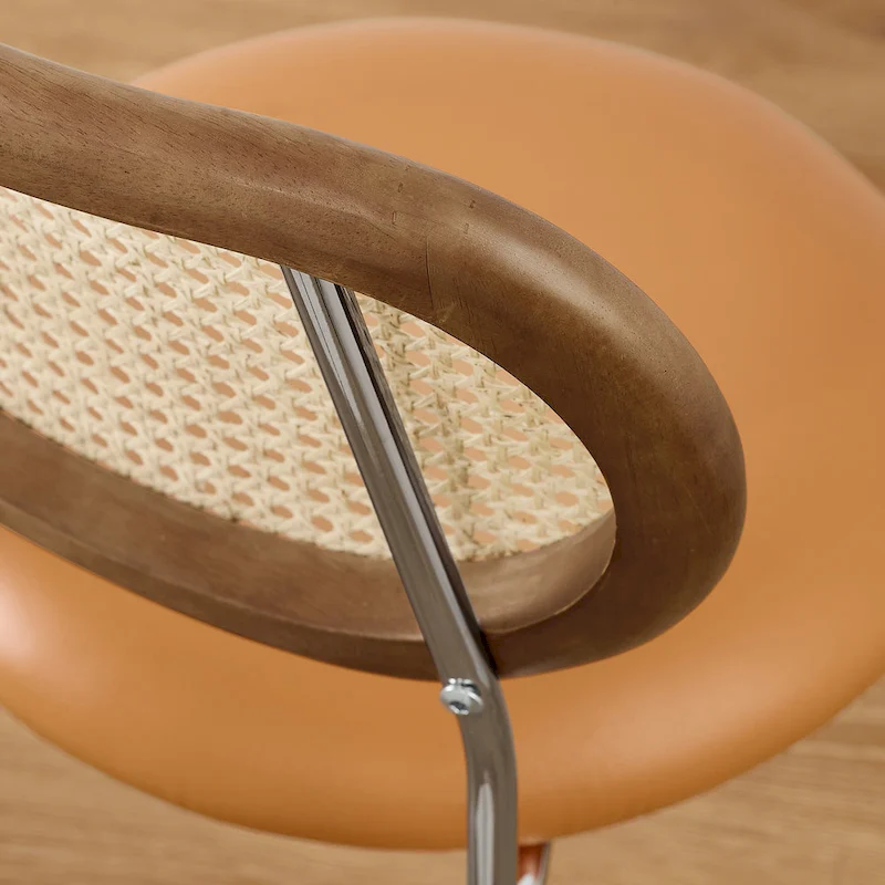 Art Leon Cane Back Faux Leather Upholstered Dining Chair (Set of 2)