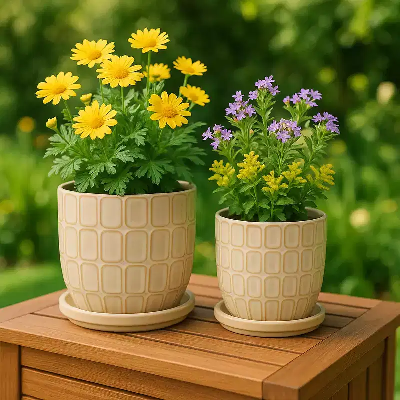 Decorative Flower Planter with Squoval Pattern and Saucer Plate - Home Decor Plant Pots for Indoor and Outdoor Styling - Set of 2, 7, 6, Ivory