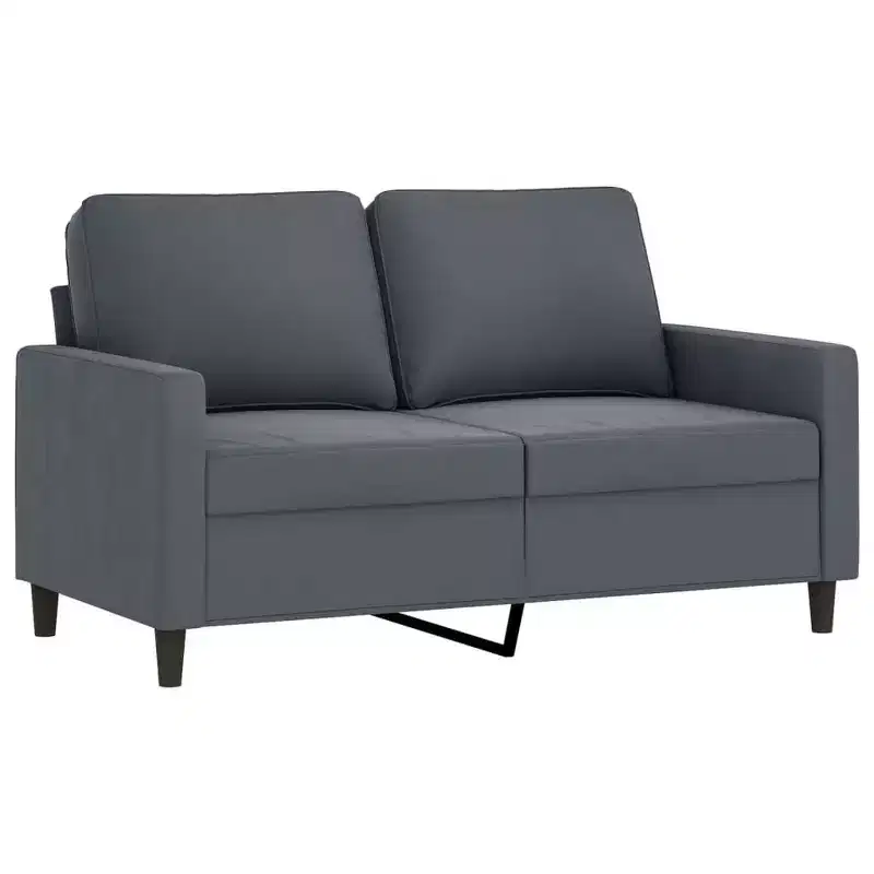 vidaXL 2-Seater Sofa in Dark Gray Velvet - Contemporary Design Couch with Sturdy Metal Frame and Thick Padding