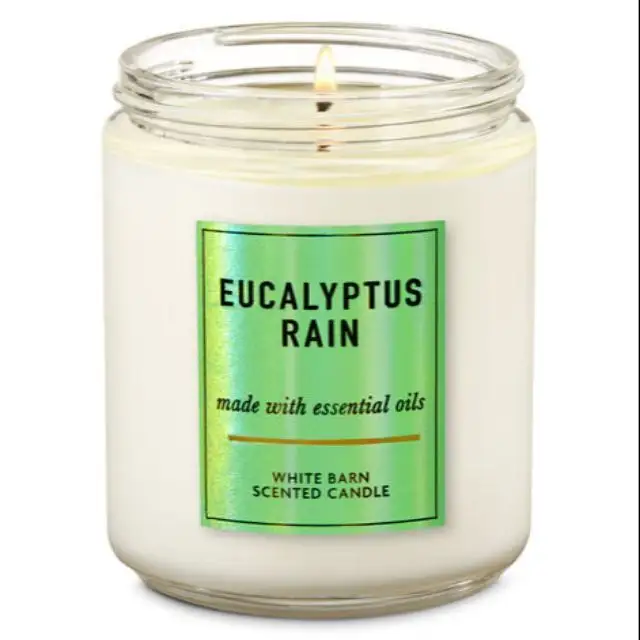 Eucalyptus Rain - Candles/ CLOUD /