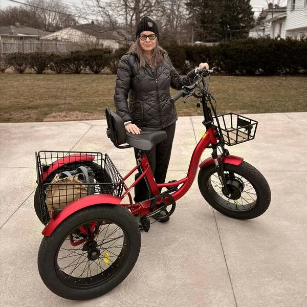 ✨⚡Clearance Sale🚲 - TK1 Folding Electric Trike