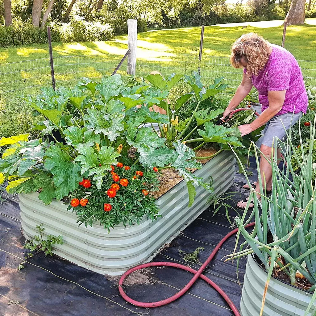 17'' Tall 8x2 Metal Raised Garden Beds (9 in 1)