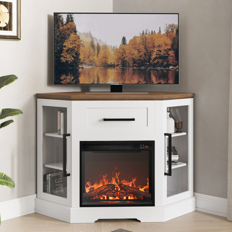 Lakeisha TV Stand for to 43