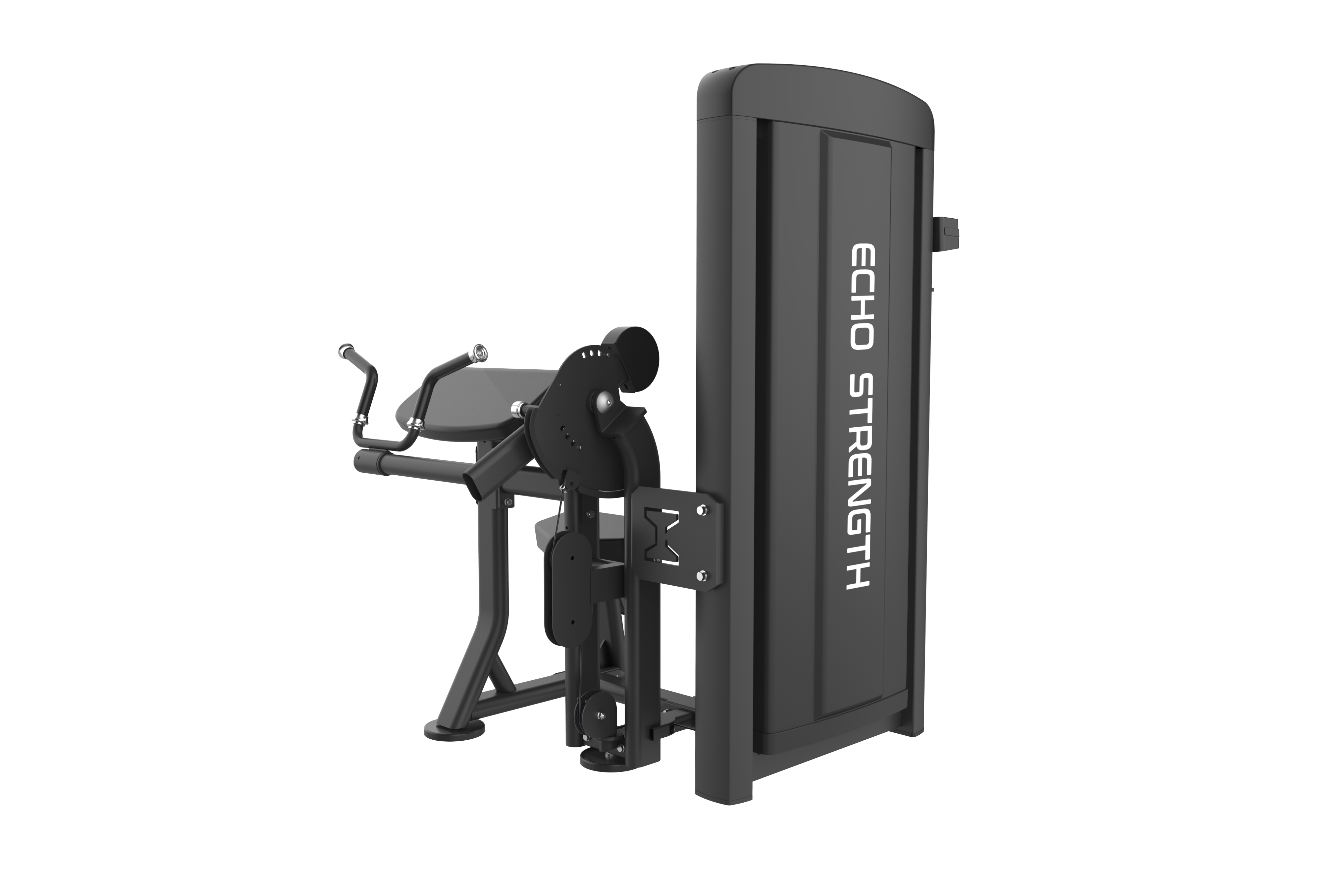 Commercial Biceps and Triceps Exercise Machine