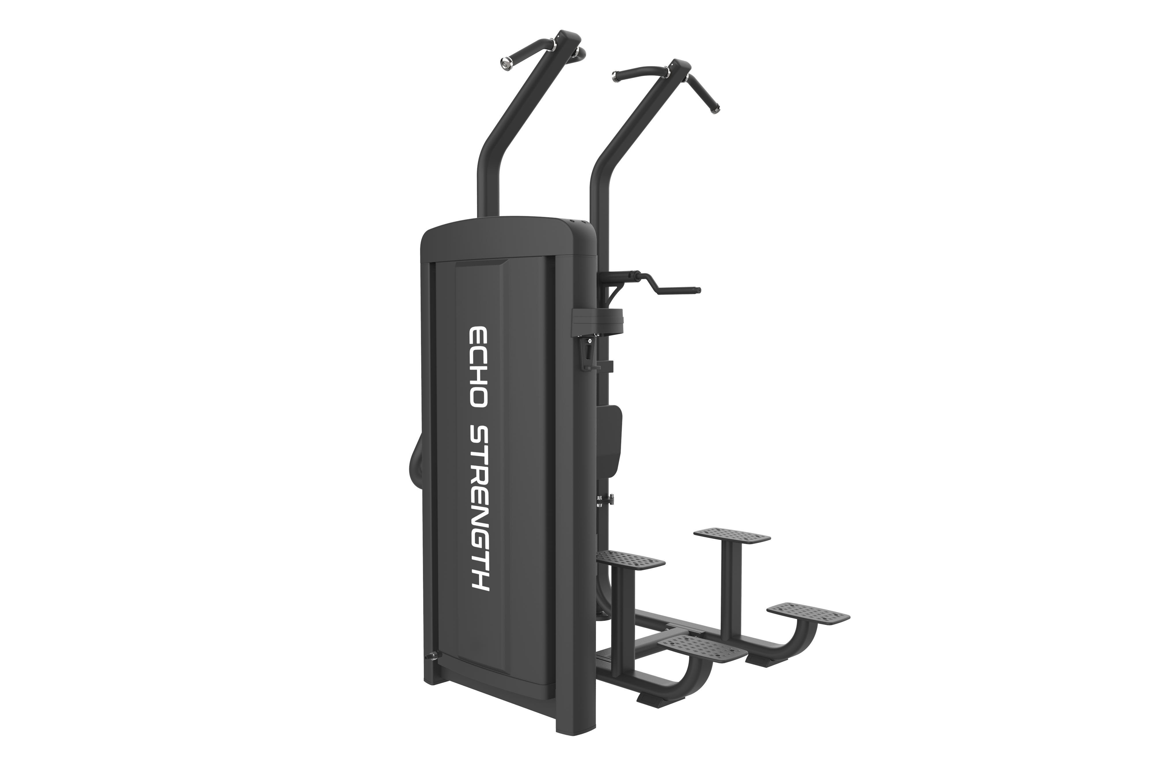 Commercial Assisted Chin Dip Combo Machine