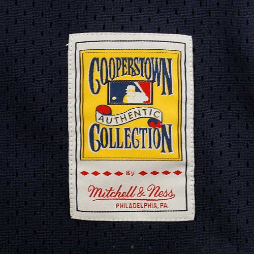 Don Mattingly New York Yankees Mitchell & Ness 1995 Authentic Cooperstown Collection Mesh Batting Practice Jersey - Navy