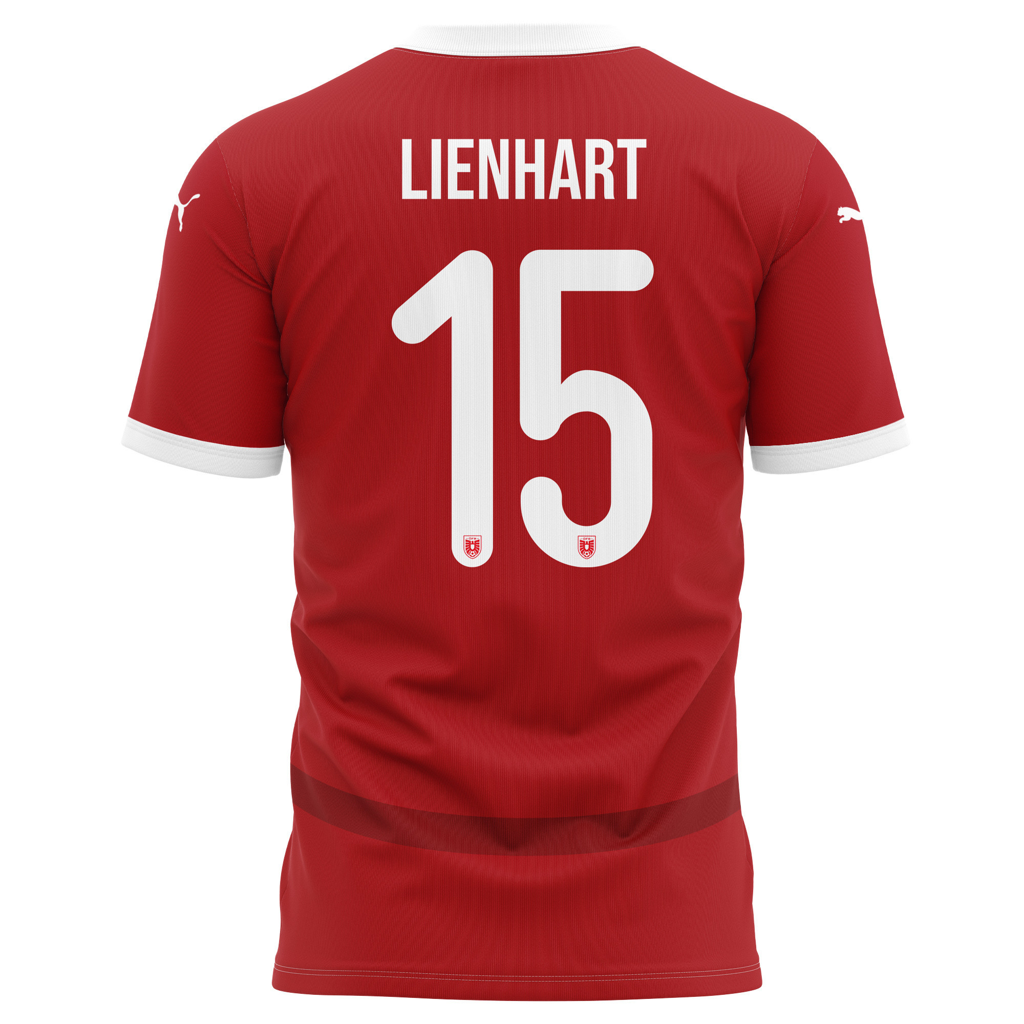 Philipp Lienhart 15 Austria National Team 2024/25 Home Kits AOP T-shirt - Red