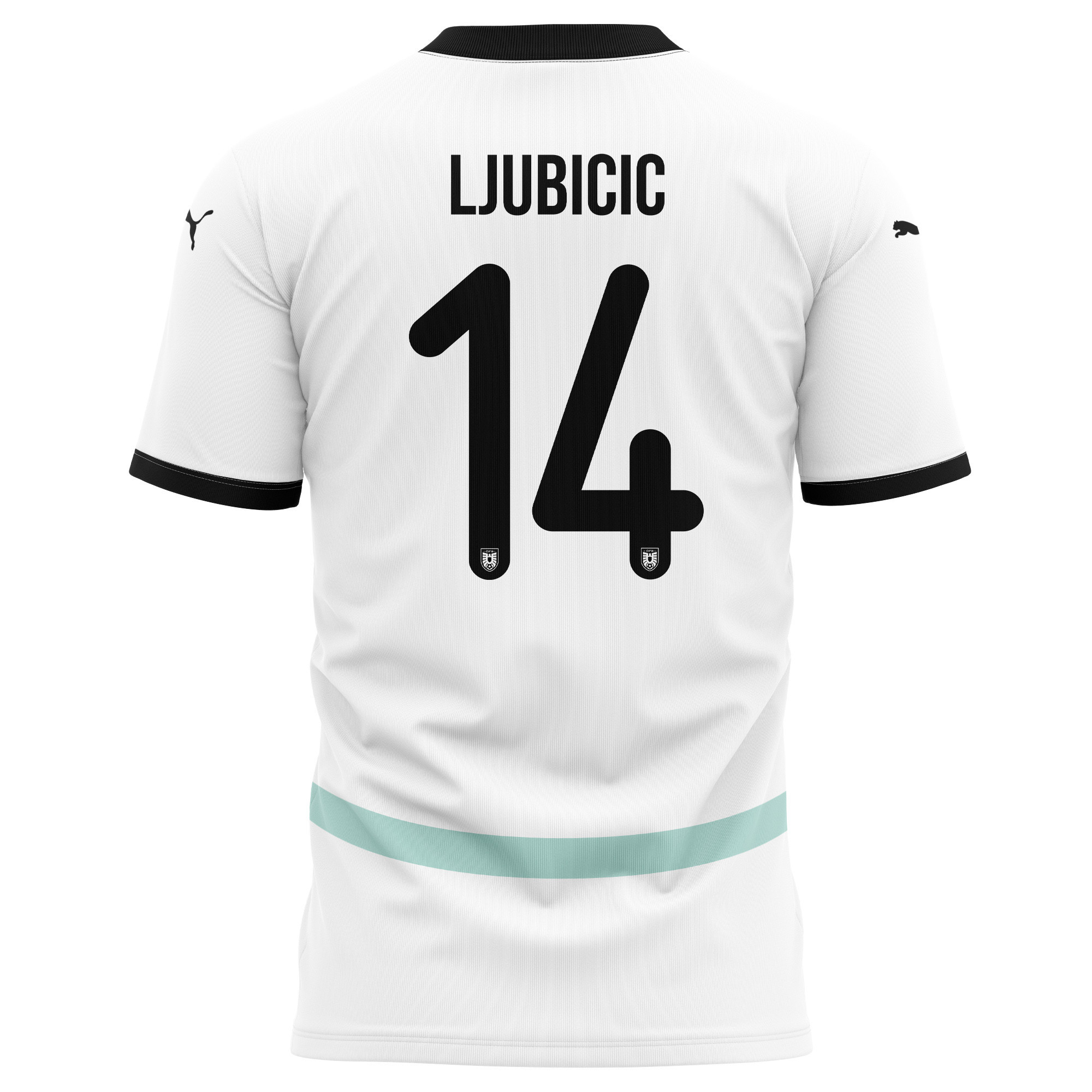 Dejan Ljubicic 14 Austria National Team 2024/25 Away Kits AOP T-shirt - White