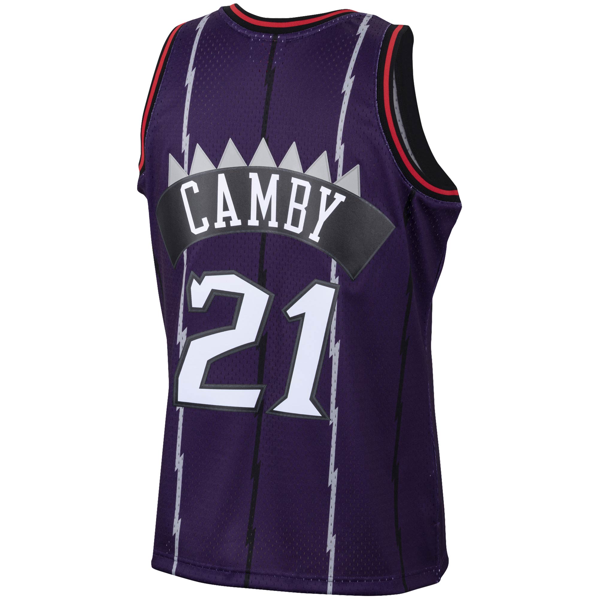 Marcus Camby Toronto Raptors Mitchell & Ness 2001\/02 Hardwood Classics Swingman Jersey - Purple