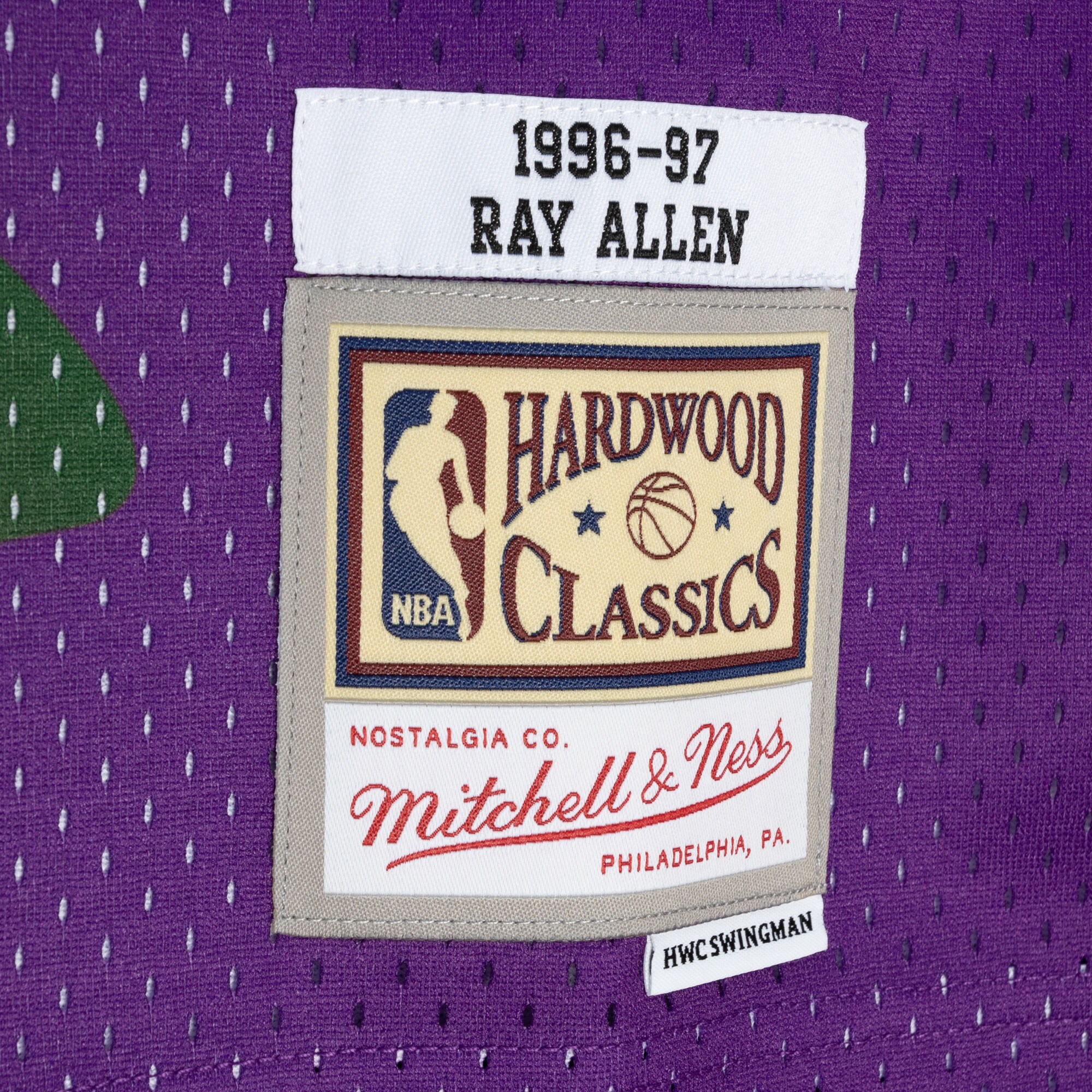 Ray Allen Milwaukee Bucks Mitchell & Ness Hardwood Classics 1996\/97 Split Swingman Jersey - Green\/Purple