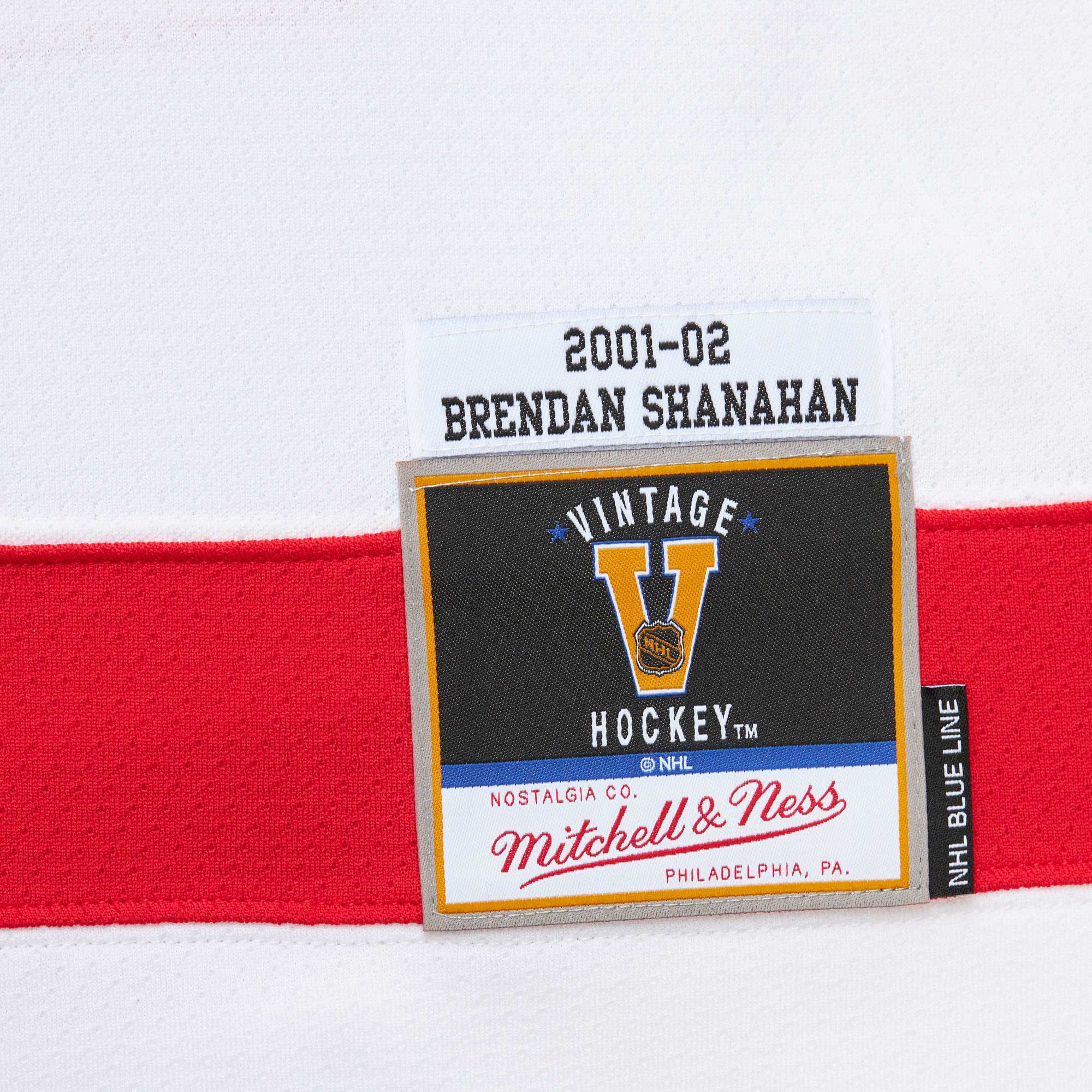 Brendan Shanahan Detroit Red Wings Mitchell & Ness  2001\/02 Alternate Captain Blue Line Player Jersey - White