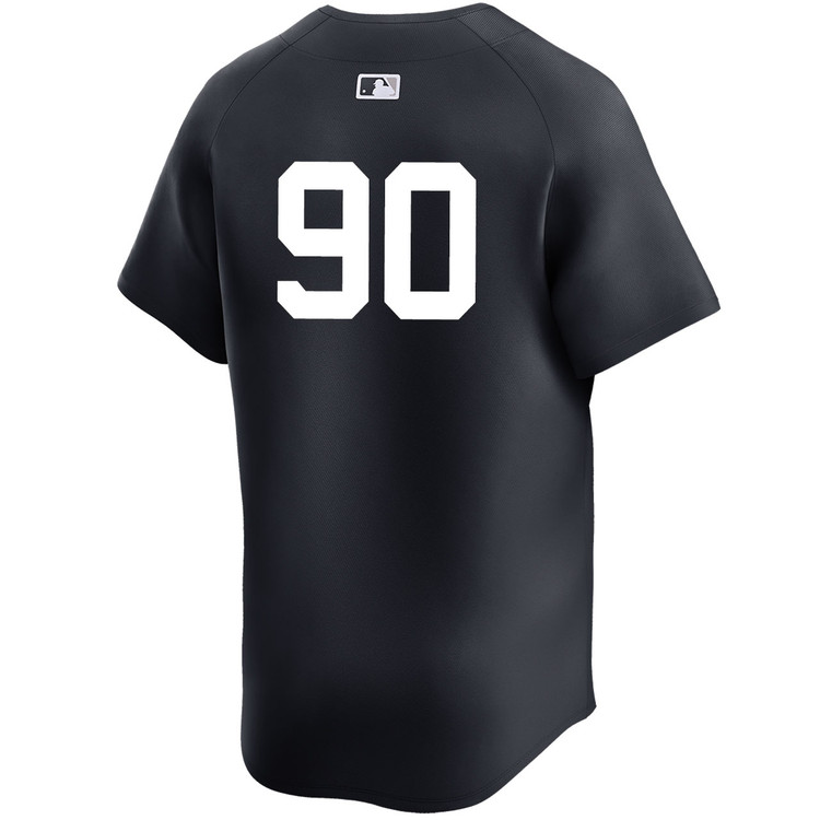 Jorbit Vivas New York Yankees Alternate Limited Player World Series Jersey