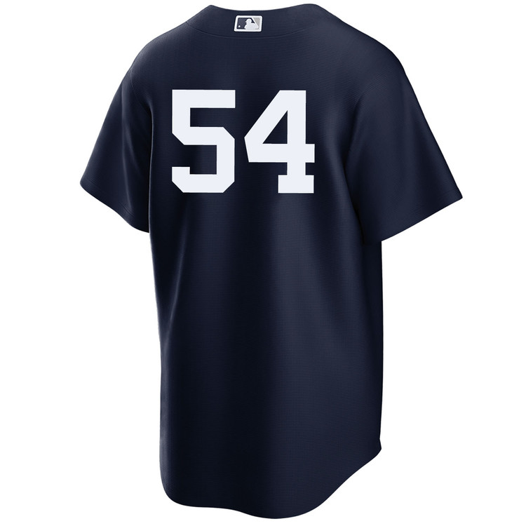 Tim Hill New York Yankees Alternate Navy Player World Series Jersey