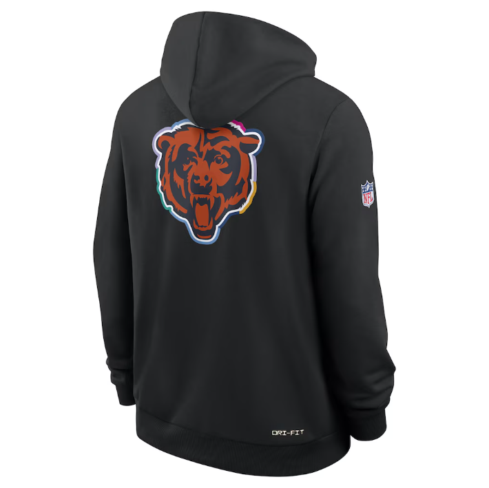 Chicago Bears Black 2025 Crucial Catch Sideline Standard Issue Dri-FIT Hoodie
