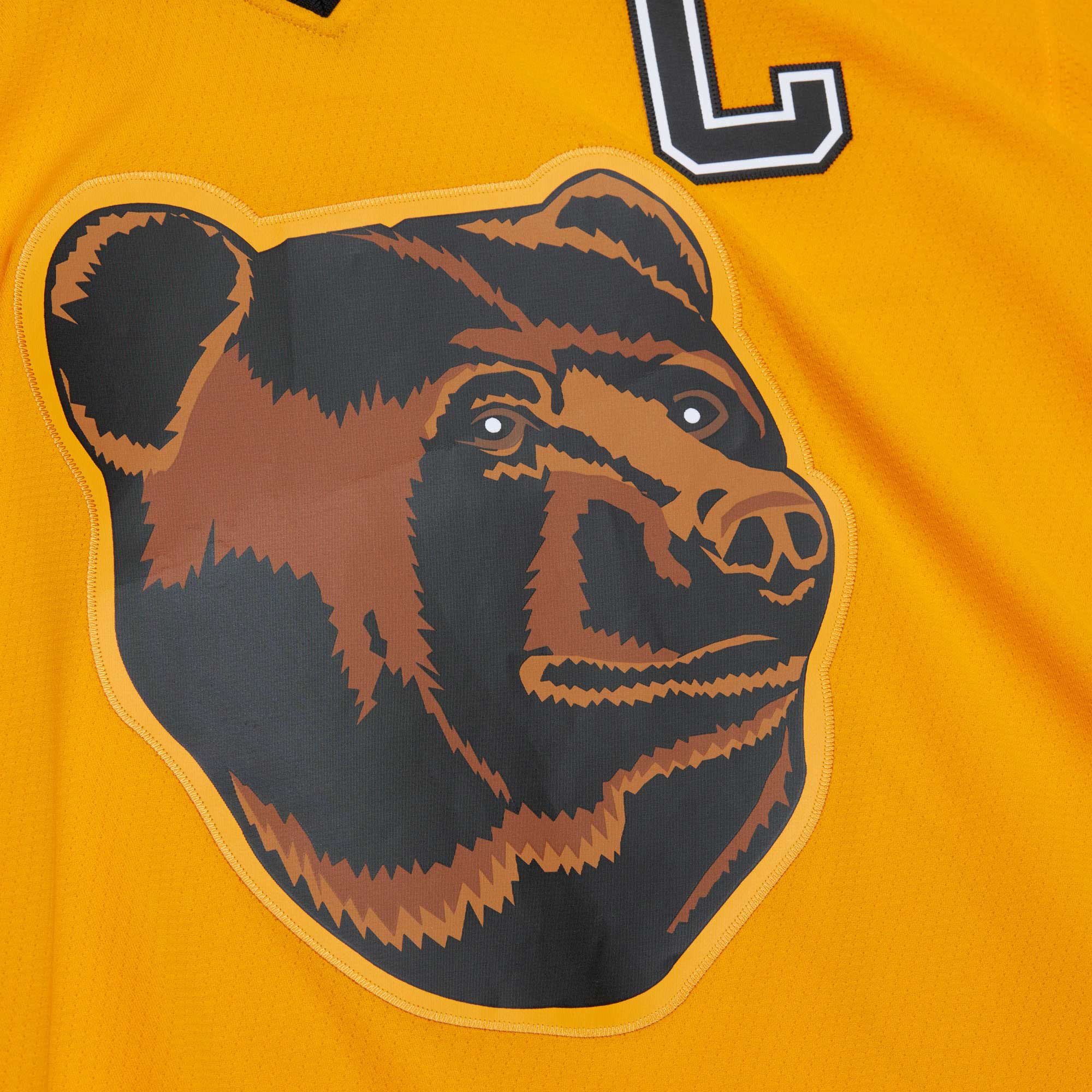 Ray Bourque Boston Bruins Mitchell & Ness  1996\/97 Captain Patch Blue Line Player Jersey - Gold