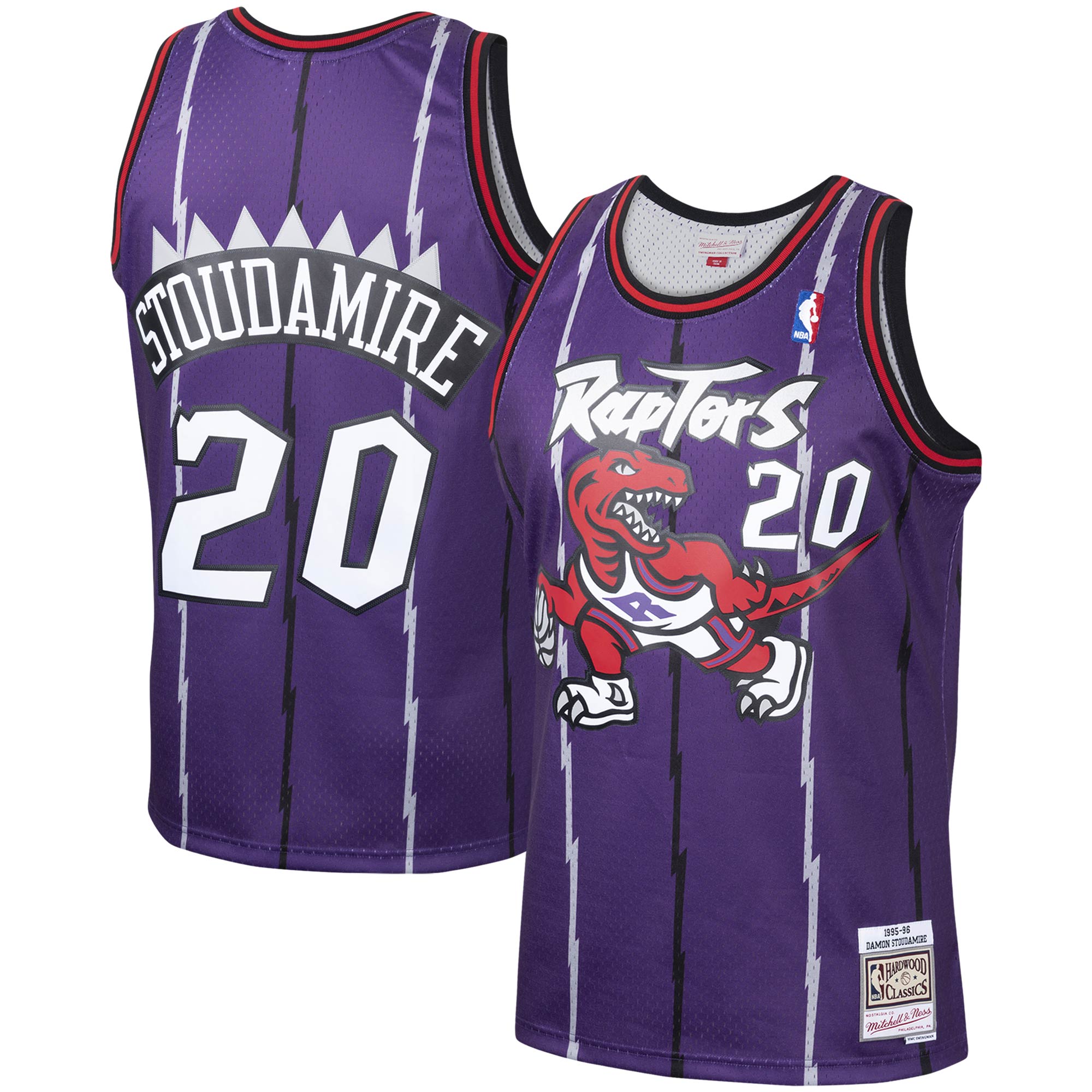 Damon Stoudamire Toronto Raptors Mitchell & Ness 1995\/96 Hardwood Classics Swingman Jersey - Purple