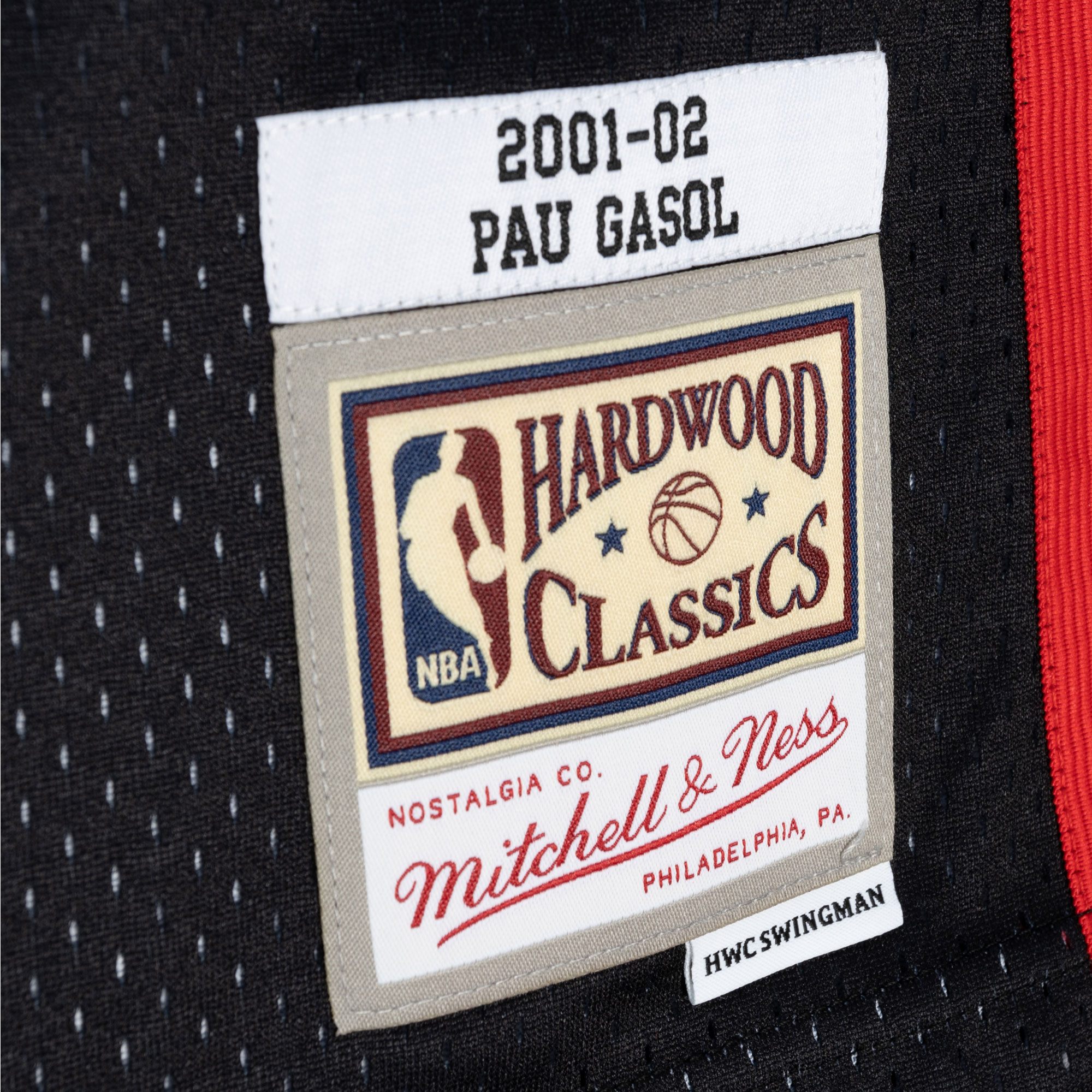 Pau Gasol Memphis Grizzlies Mitchell & Ness Hardwood Classics 2001\/02 Split Swingman Jersey - Black\/Turquoise