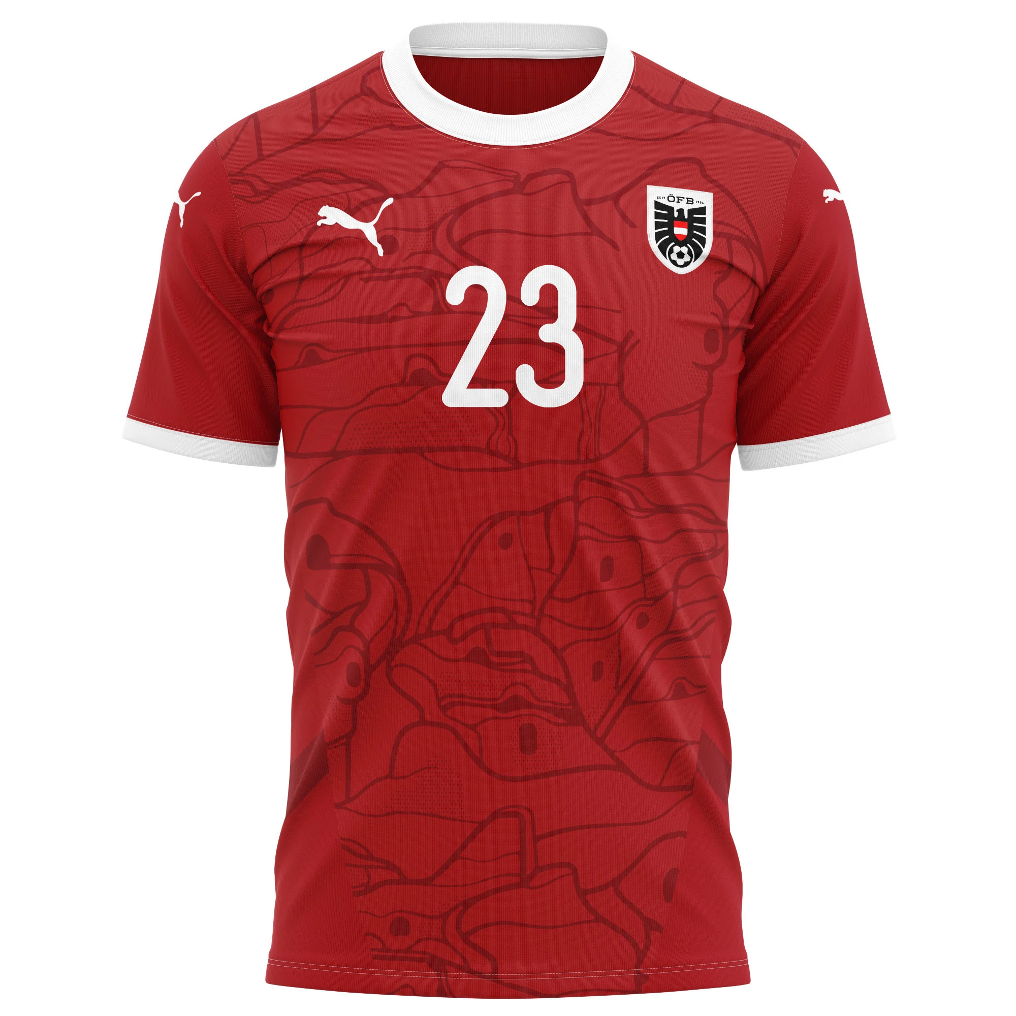 David Schnegg 23 Austria National Team 2024/25 Home Kits AOP T-shirt - Red