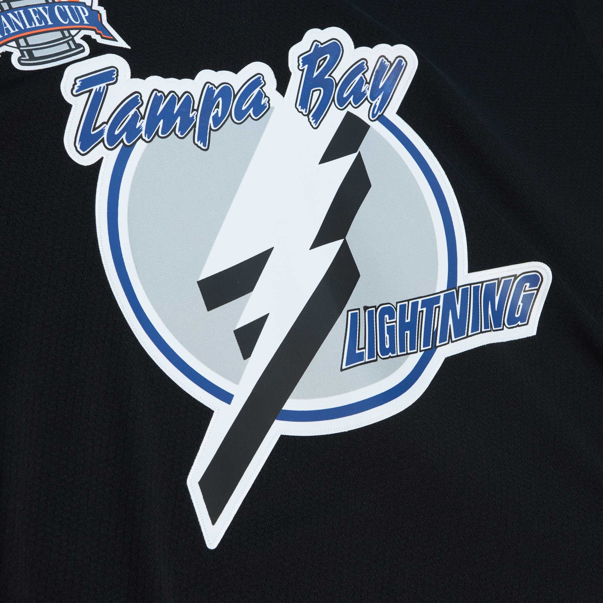 Martin St. Louis Tampa Bay Lightning Mitchell & Ness 2004 Stanley Cup Champions Blue Line Player Jersey - Black
