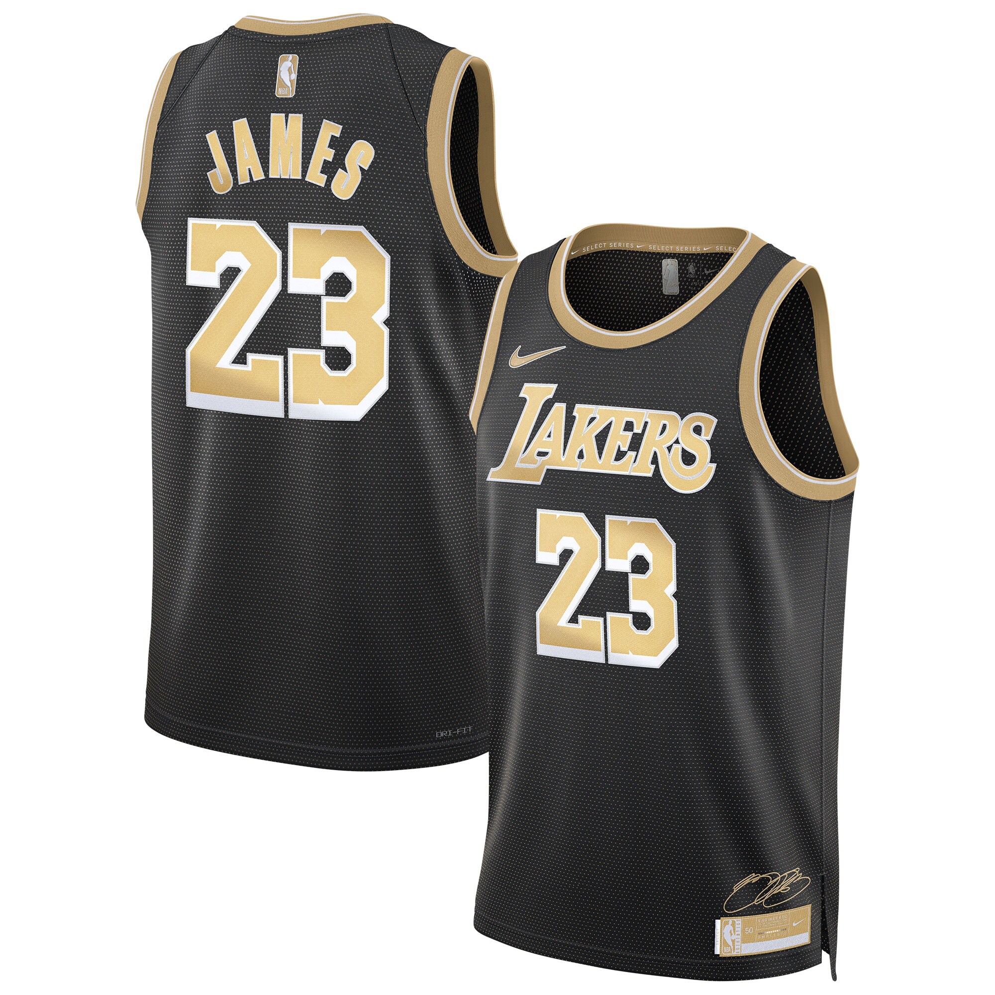 LeBron James Los Angeles Lakers  Unisex  Select Series Swingman Jersey\u00c2\u00a0\u00e2\u20ac\u201c Black