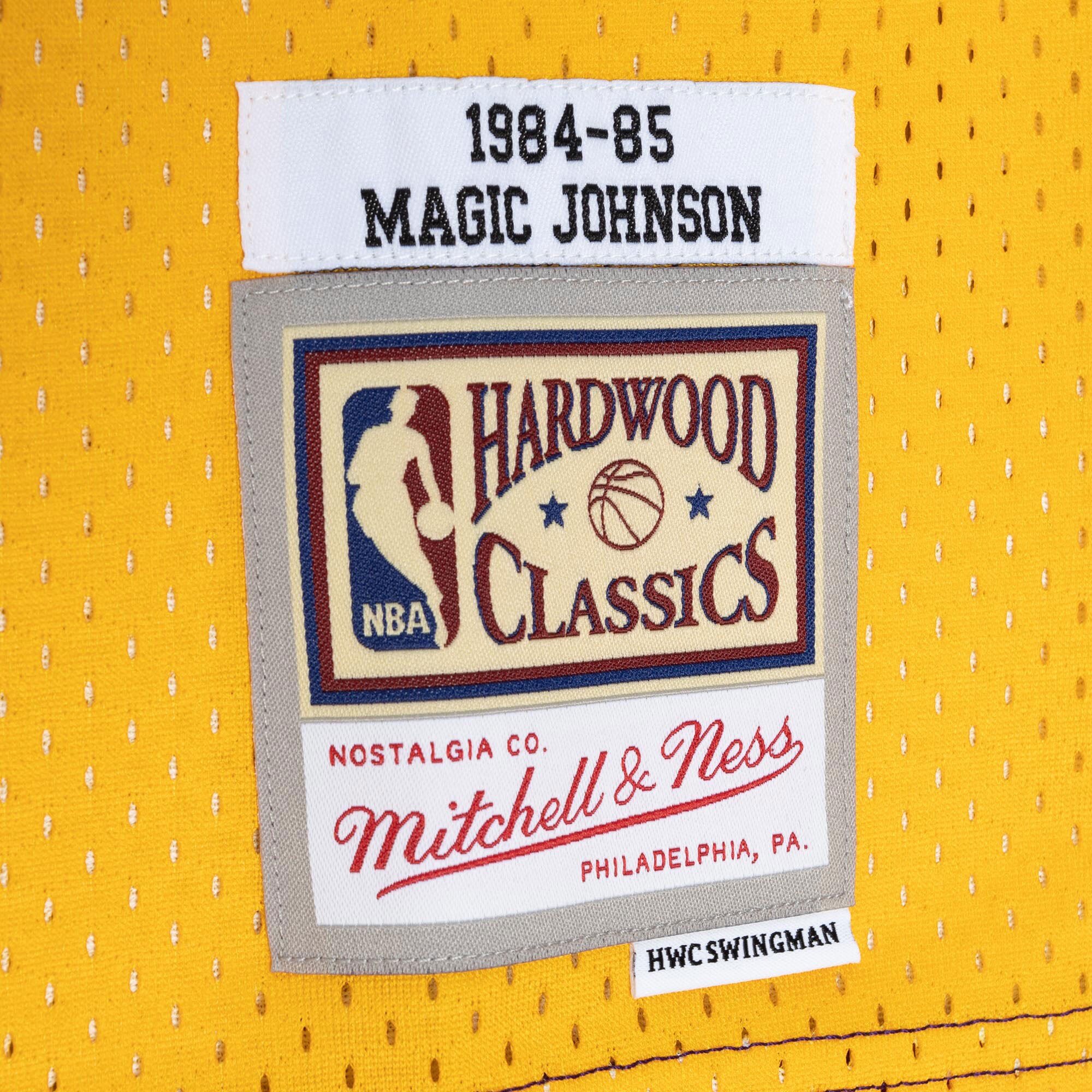 Magic Johnson Los Angeles Lakers Mitchell & Ness Hardwood Classics 1984\/85 Split Swingman Jersey - Purple\/Gold