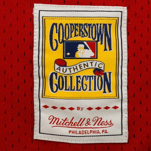 Johnny Bench Cincinnati Reds Mitchell & Ness 1983 Authentic Cooperstown Collection Mesh Batting Practice Jersey - Red