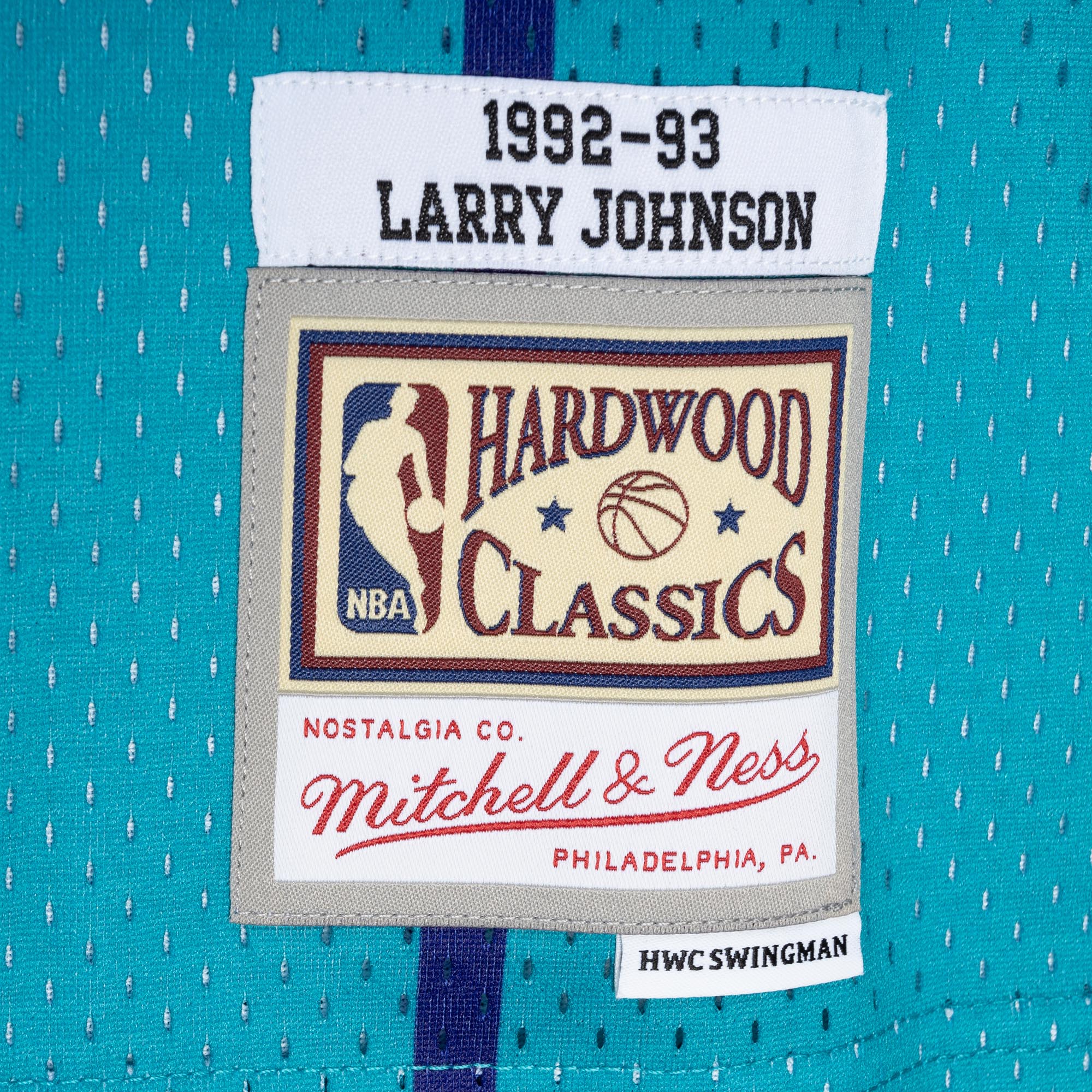 Larry Johnson Charlotte Hornets Mitchell & Ness Hardwood Classics Mitchell & Ness Split Swingman Jersey - Teal\/Purple