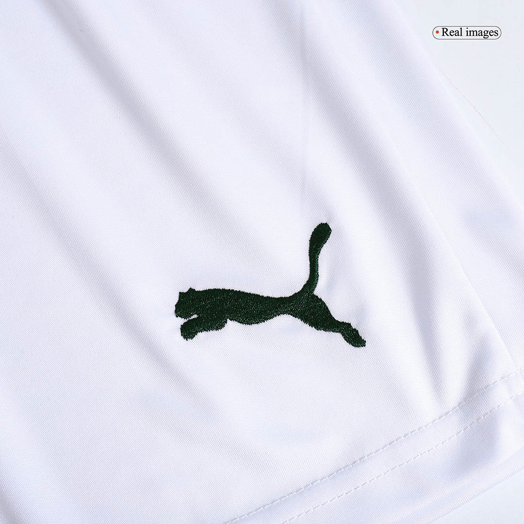 SE Palmeiras Home Shorts Replica 2023/24