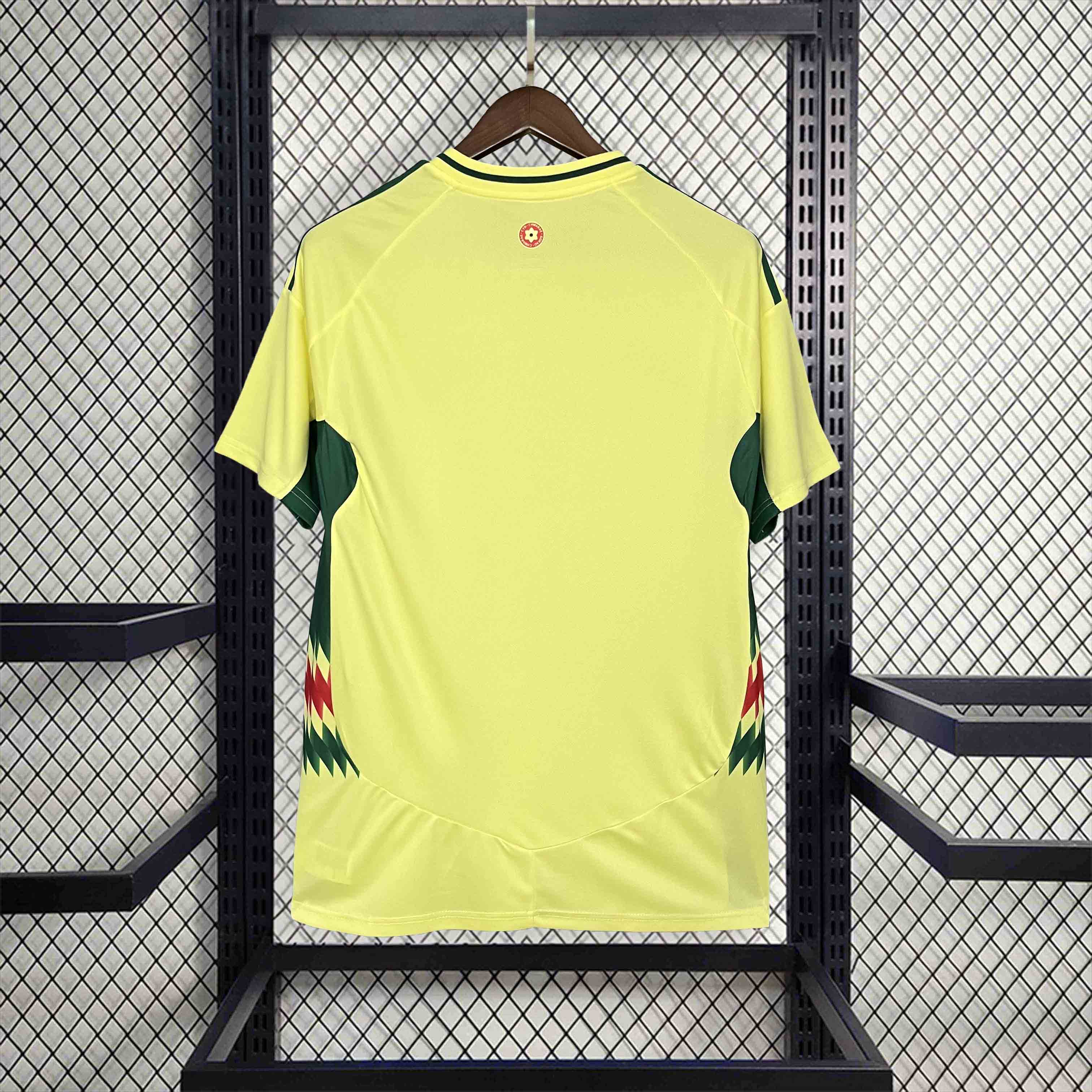 Wales Away Jersey 2024