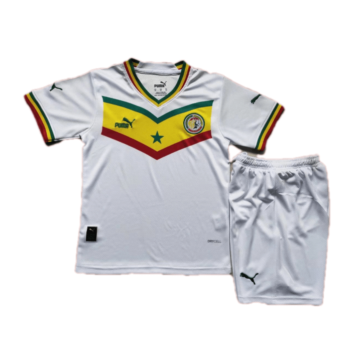 Senegal Kids Jersey Home Kit(Jersey+Shorts) Replica 2022/23