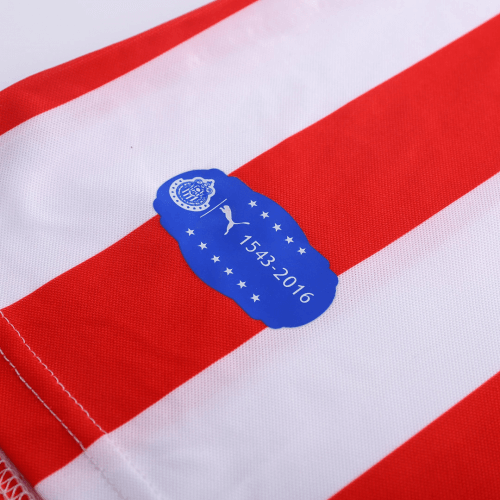 Chivas Guadalajara Retro Jersey Home 110-Yeas