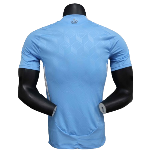 Belgium Away Jersey Player Version Euro 2024