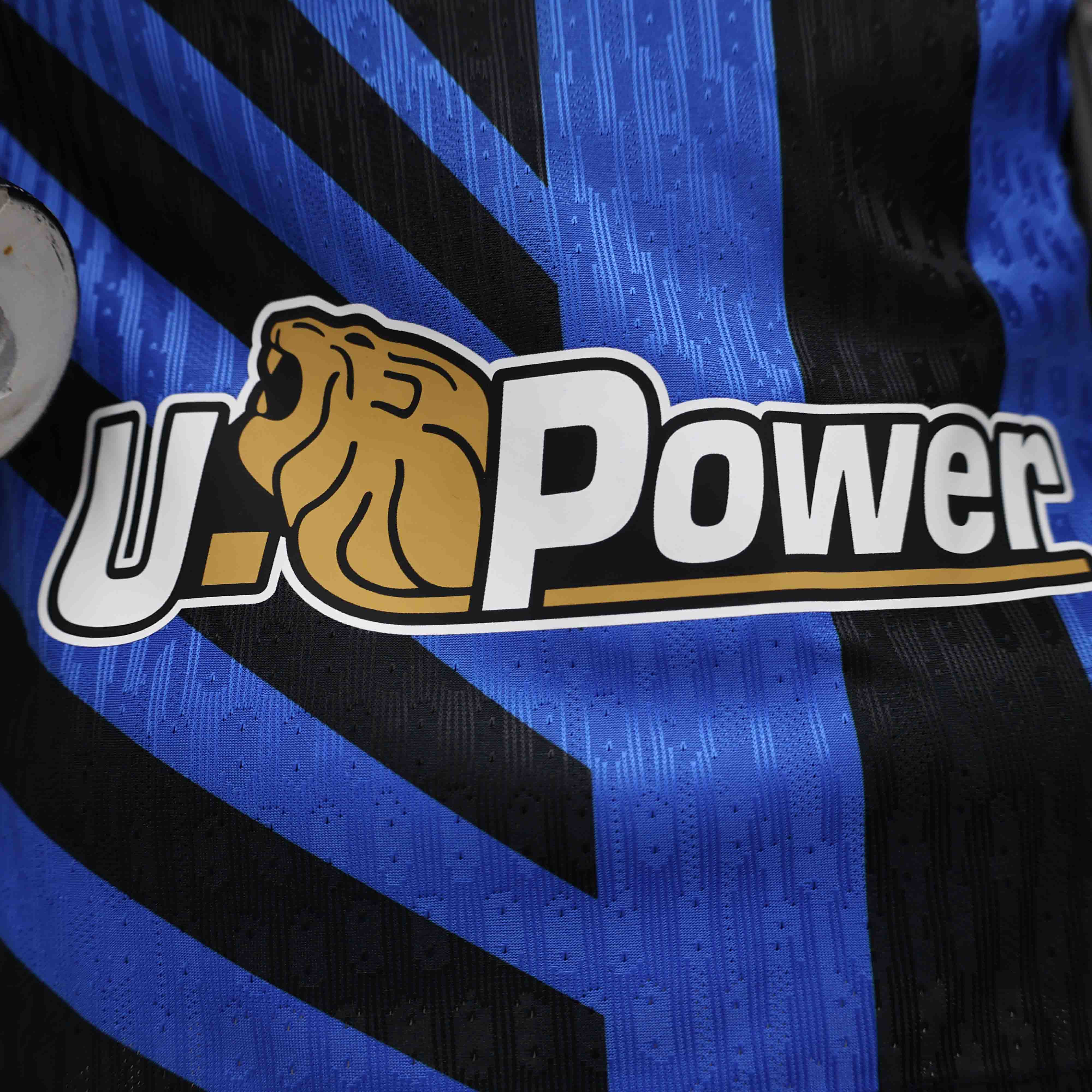 Inter Milan Home Jersey Player Version 2024/25