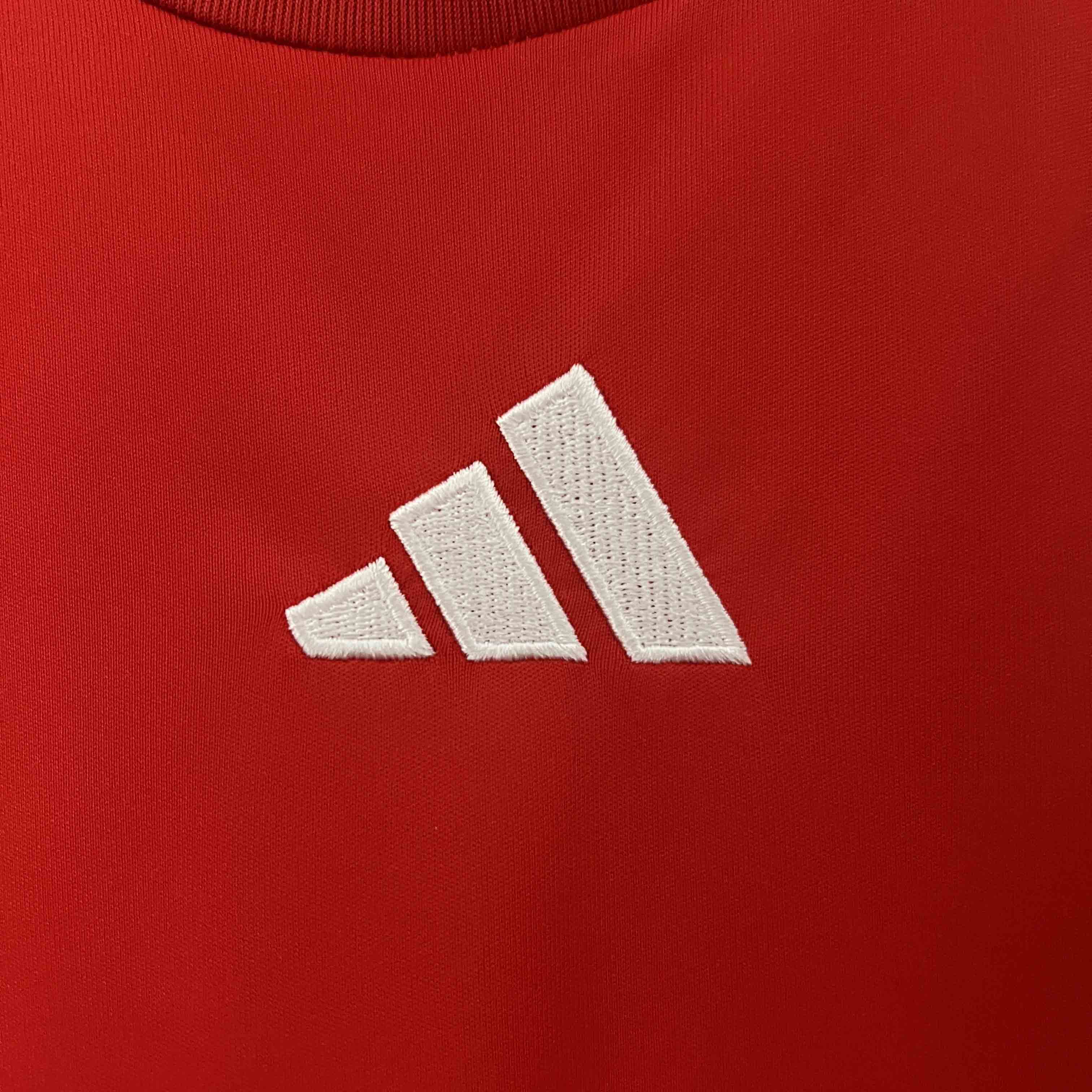 Hungary Home Jersey Euro 2024