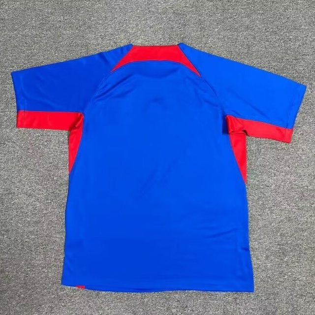 Slovakia Home Jersey Euro 2024