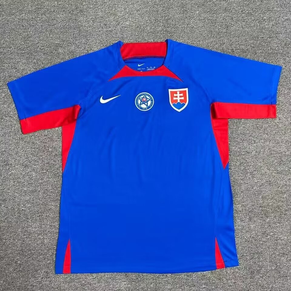 Slovakia Home Jersey Euro 2024